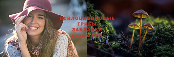 гидра Белокуриха