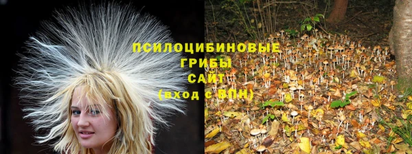 гидра Белокуриха
