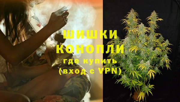 спиды Верея