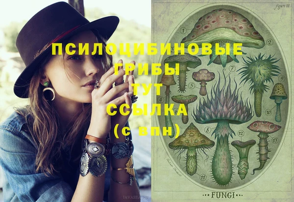 дживик Бородино